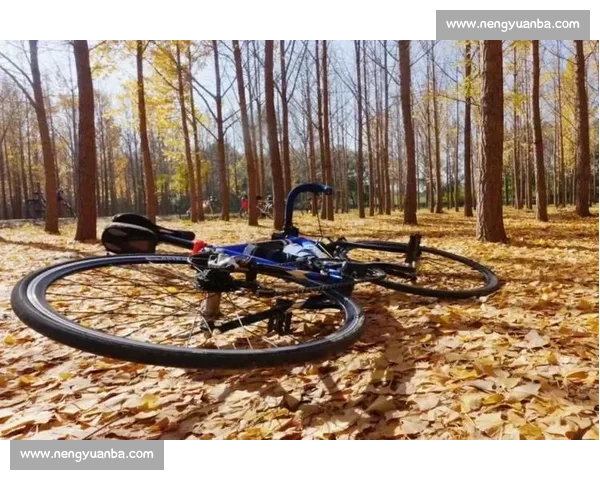 赛前准备全攻略：提升竞技状态与心态调整的关键策略