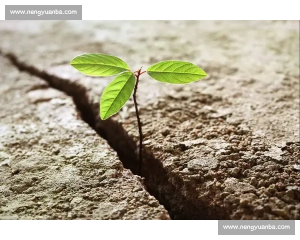 绝地反击：逆境中的智慧与力量，打破困局重塑未来